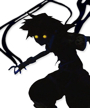 Sora's Anti Form